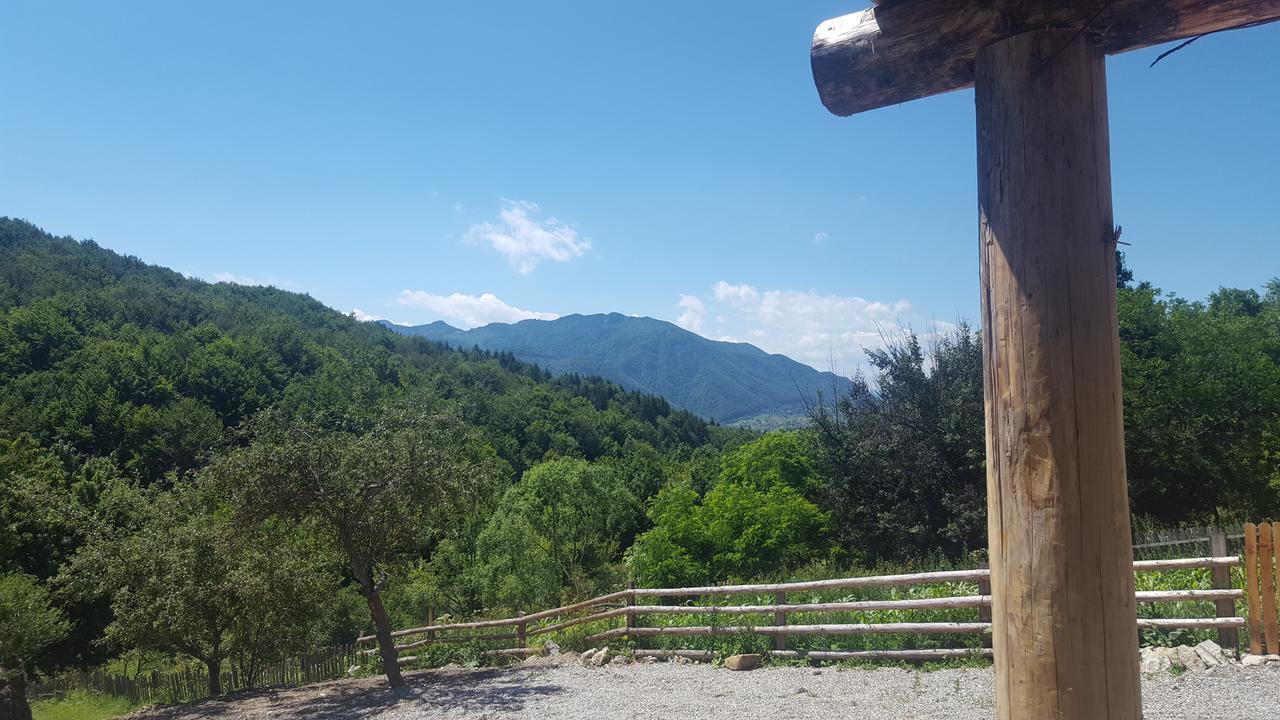 Poiana  Casa Din Piatra酒店 外观 照片